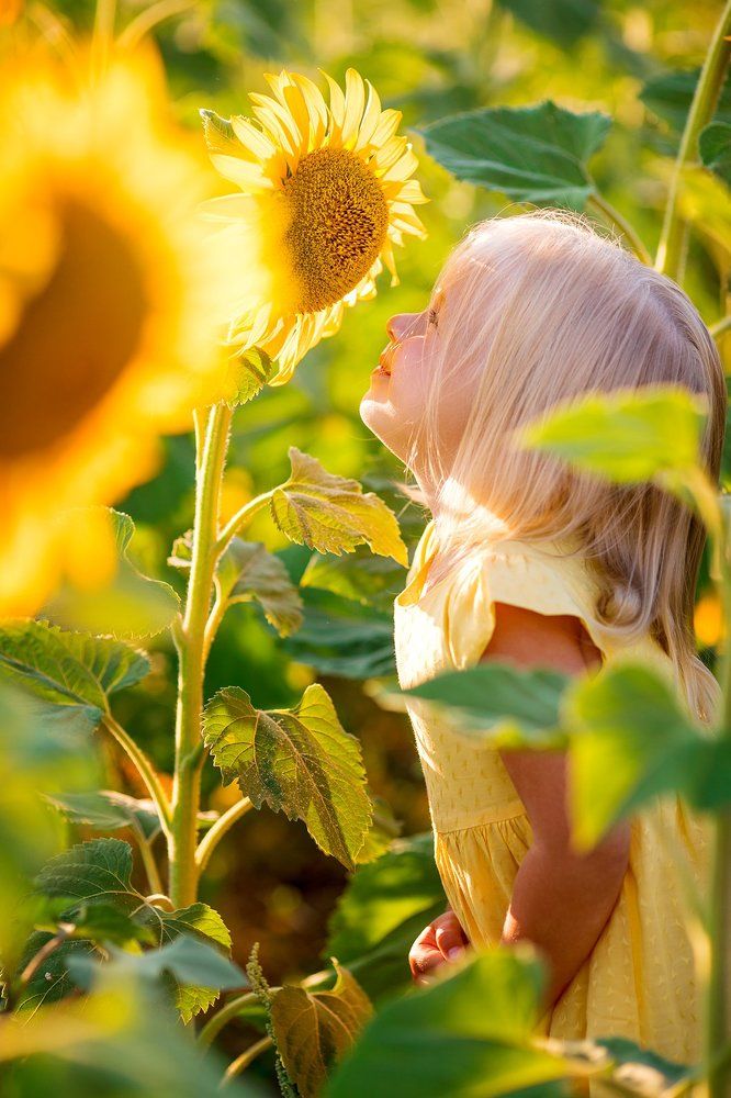 Photograph by Наталья Попова