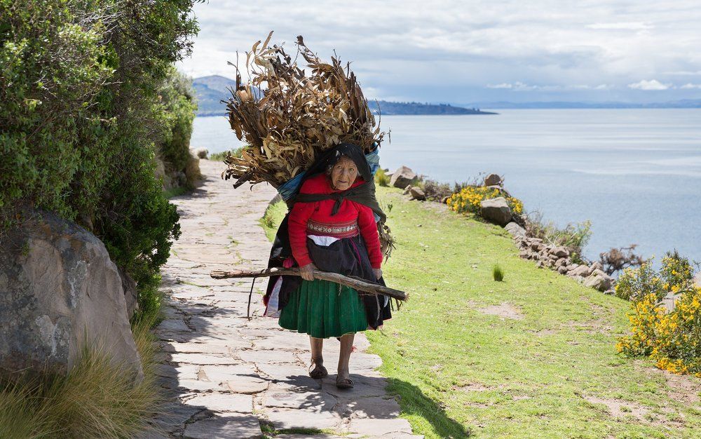 С хворостом сегодня повезло