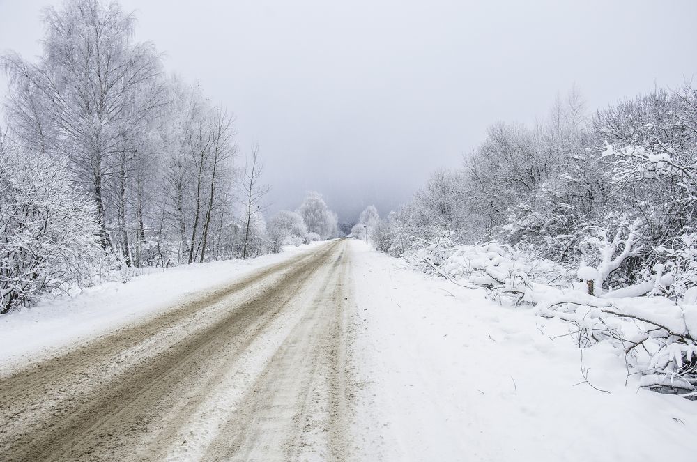 Photograph by Александр