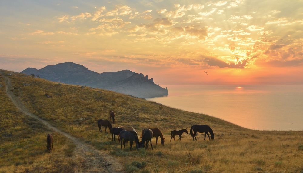 Рассвет над Кара-Дагом