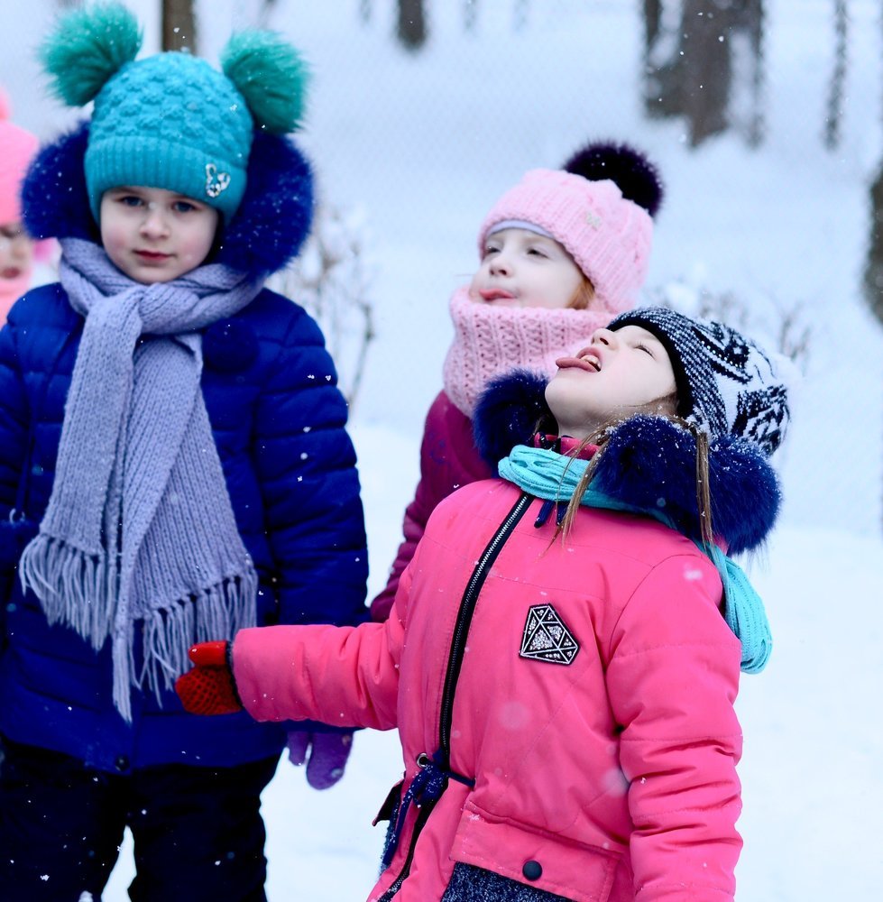 Ловец снежинок