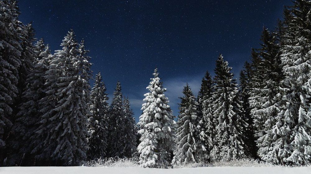 N48.630470°, E23.945178°