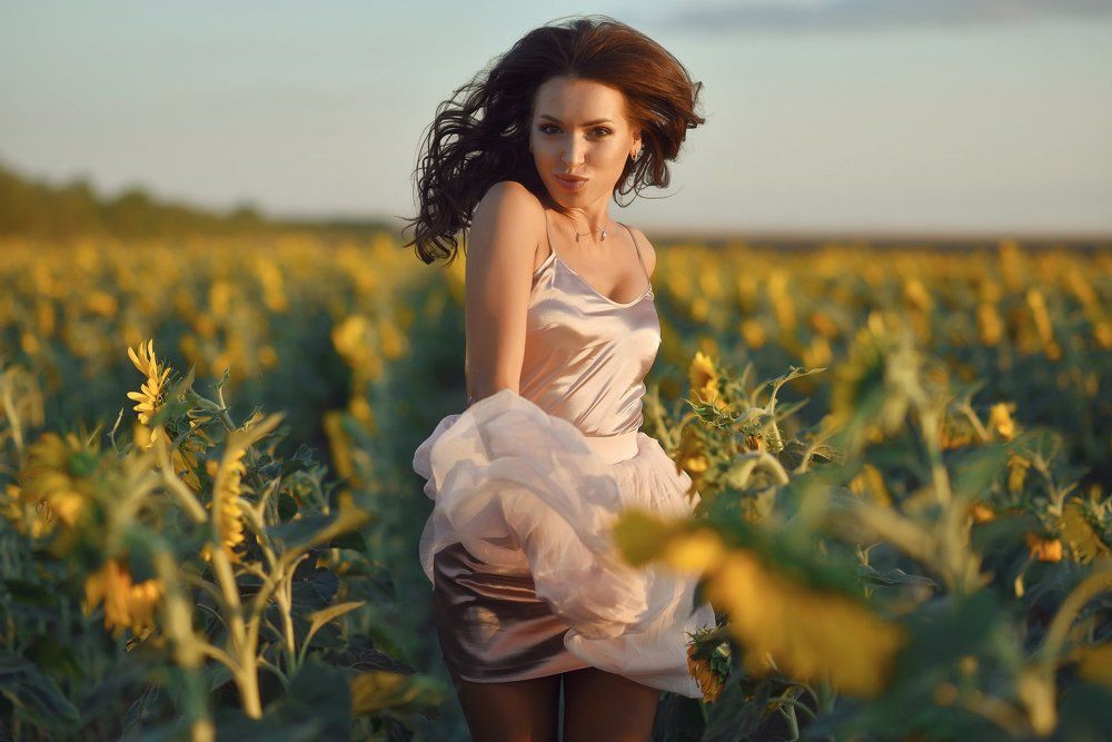 Подсолнухи