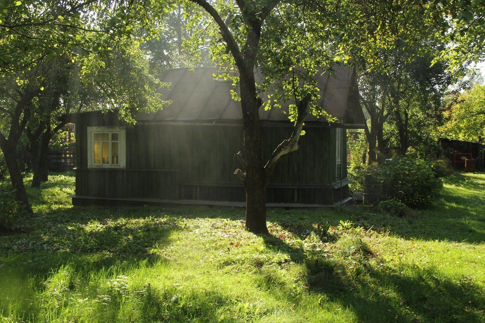 В гостях у бабушки