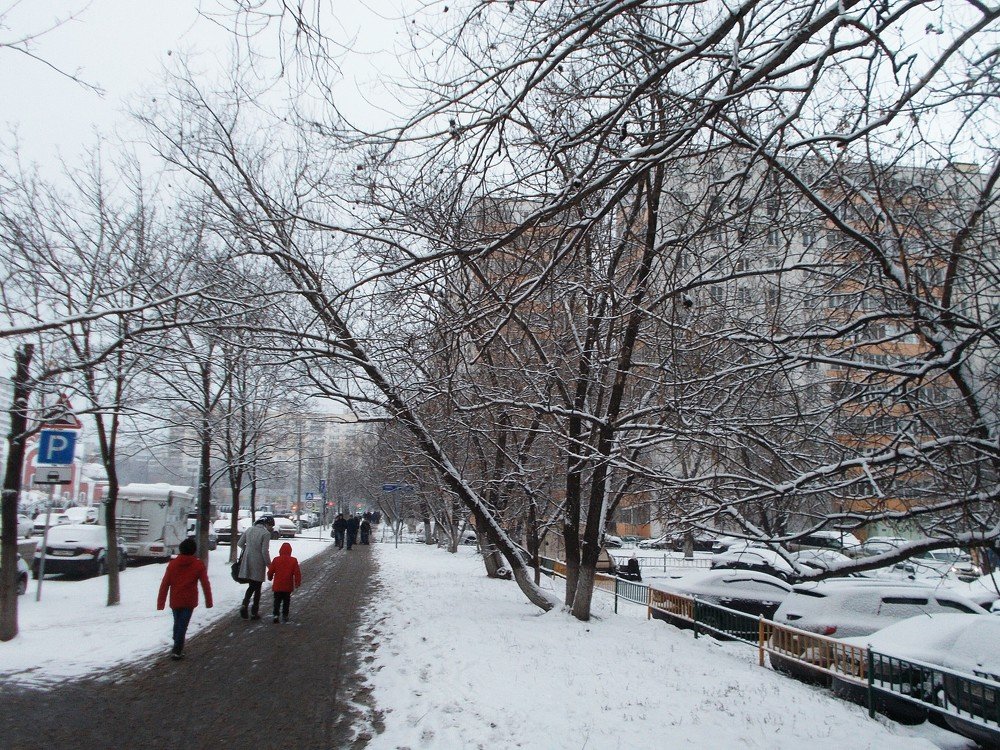 Москва в снежном плену