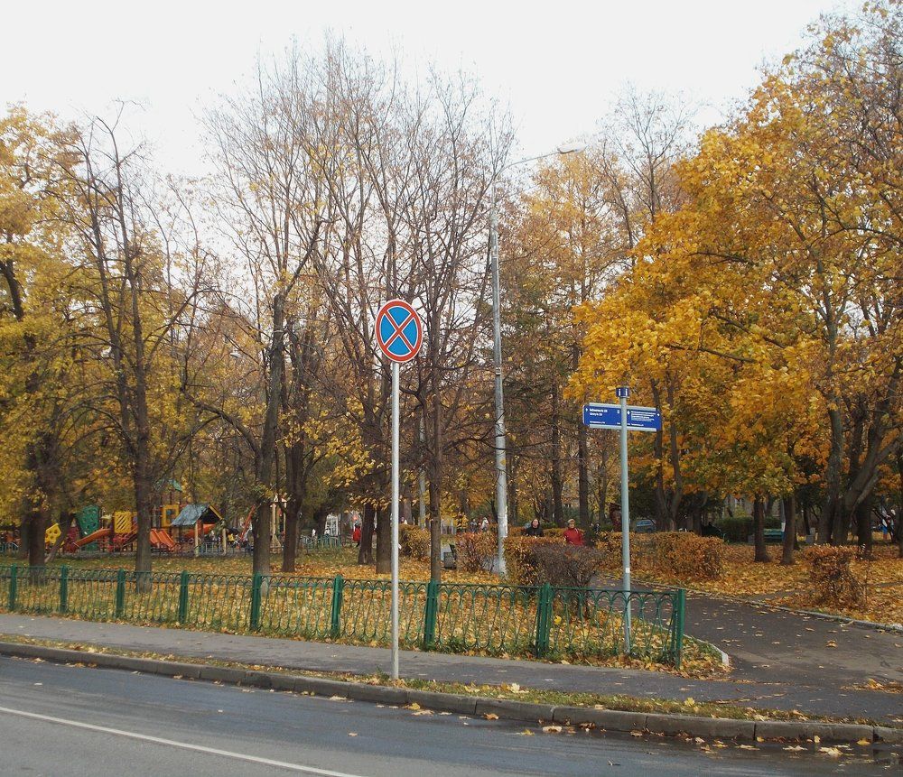 Золотую осень дорожным знаком не остановить