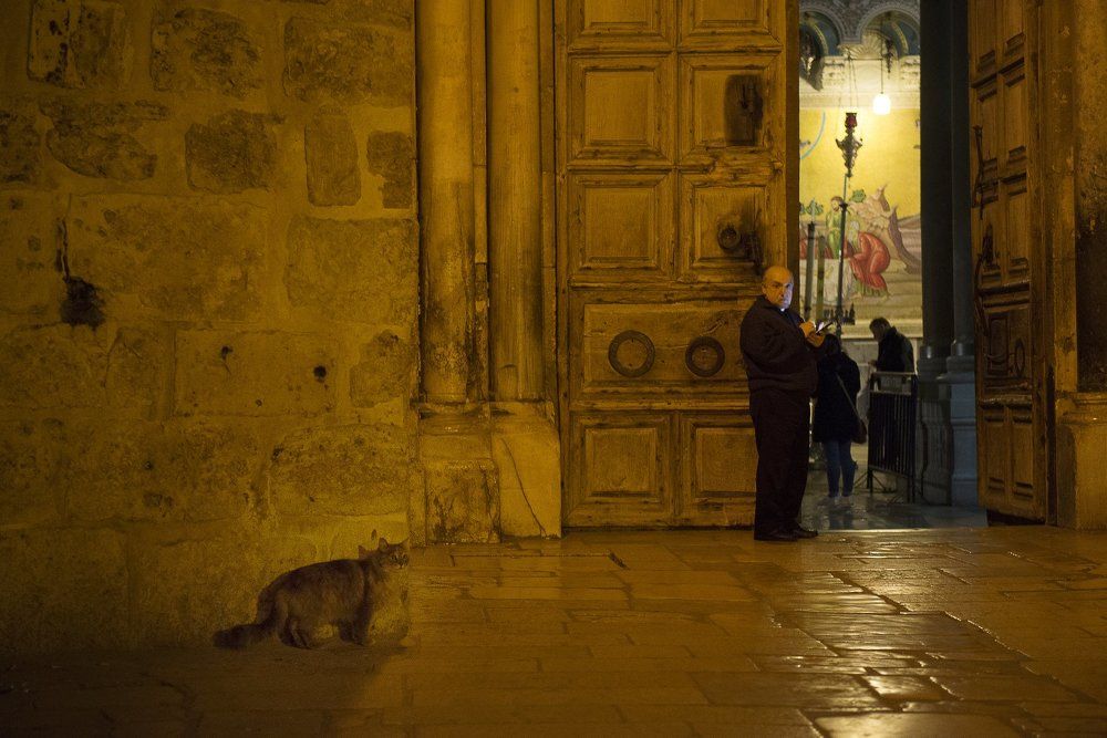 Незваный гость