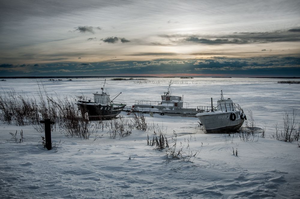 Дождаться весны
