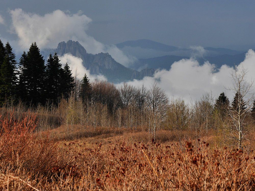 Многослойность
