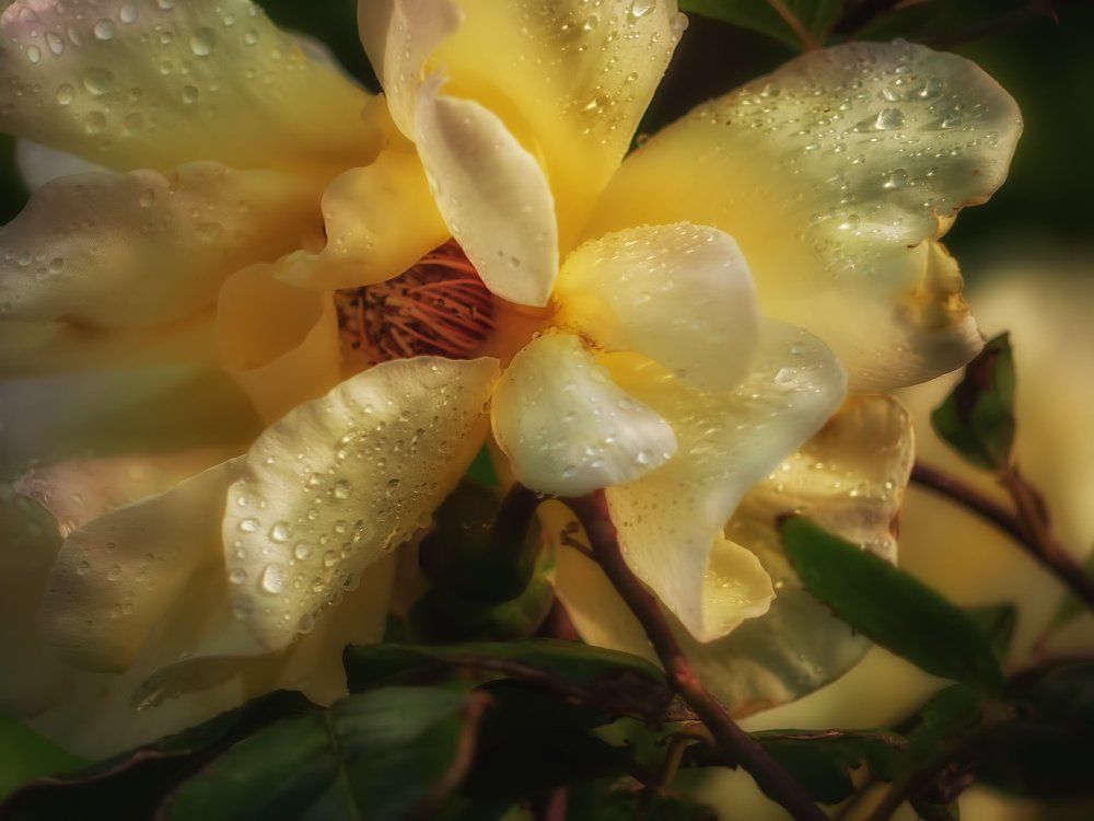 После дождя