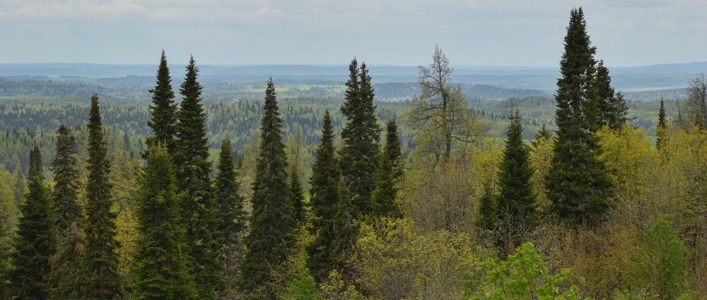Пересекая горизонт