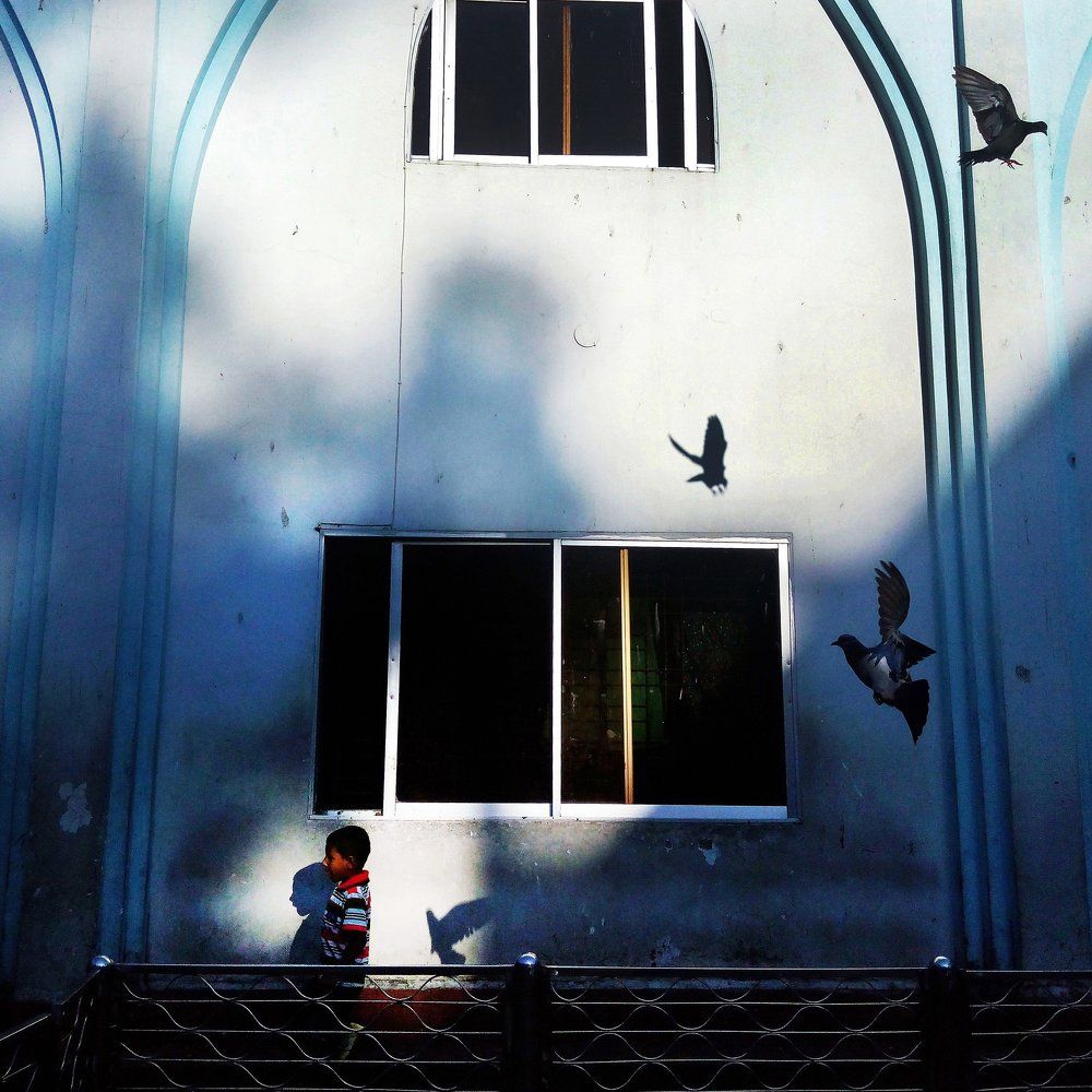 The boy and his companions