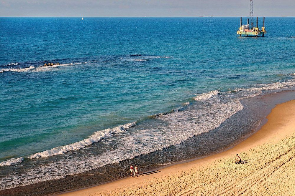 Ноябрьским днем...