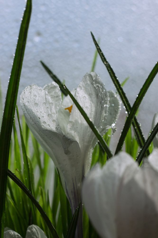 Photograph by Екатерина Стриж