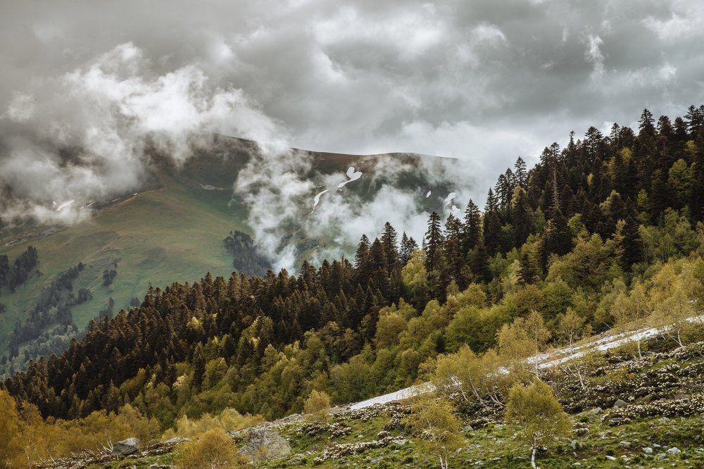 Утро в Софийской долине