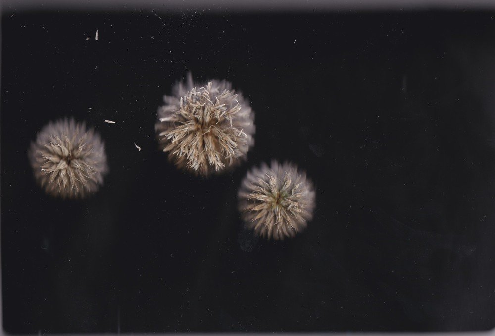 Photograph by Юлия Абакина