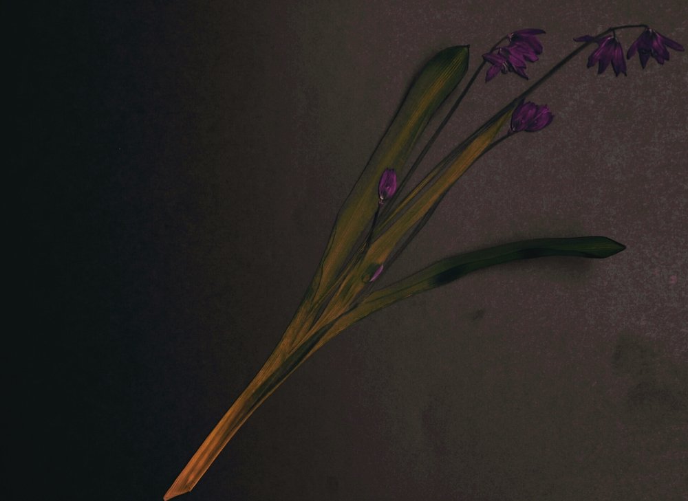 Photograph by Юлия Абакина