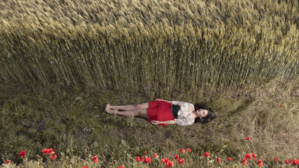 На краю макового поля