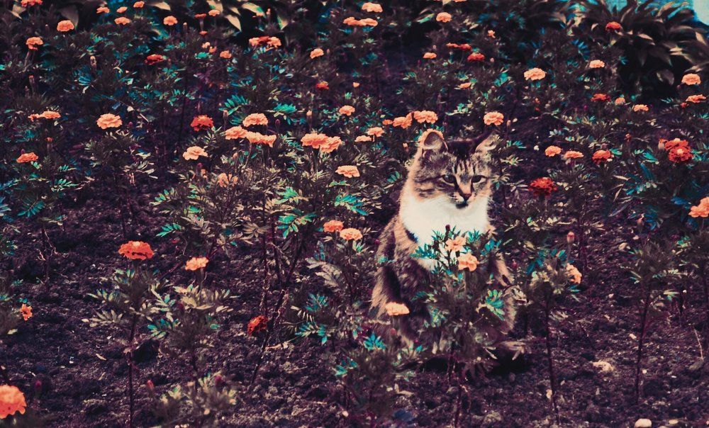 Photograph by Юлия Абакина