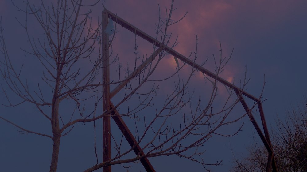 Photograph by Юлия Абакина