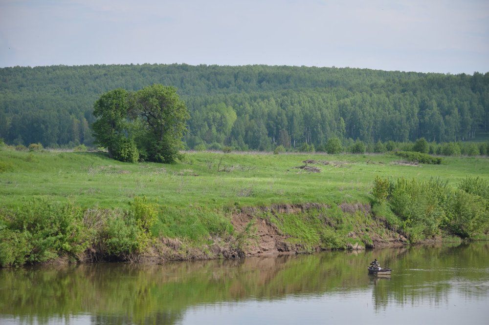 Дерево-сердце и рыбак