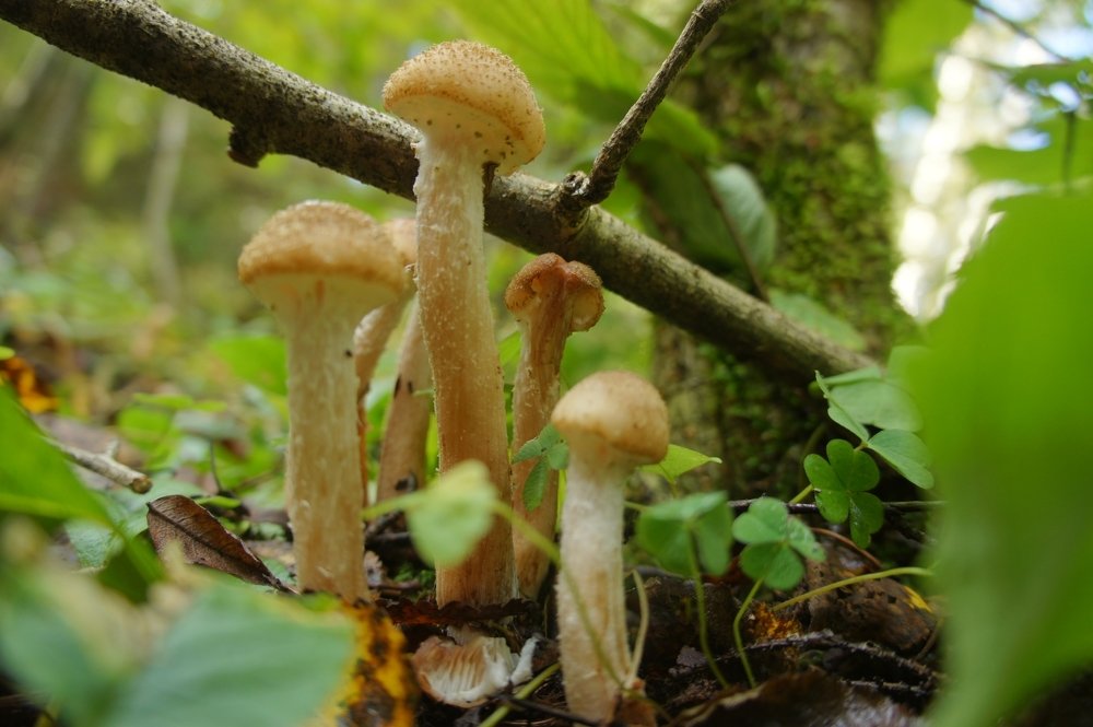 Photograph by Владимир