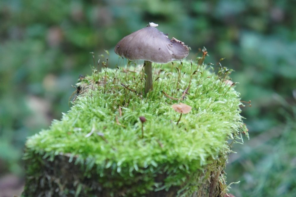 Photograph by Владимир