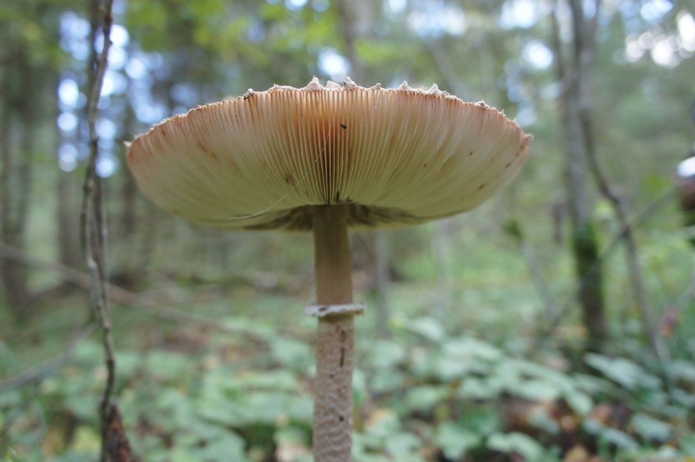 Photograph by Владимир