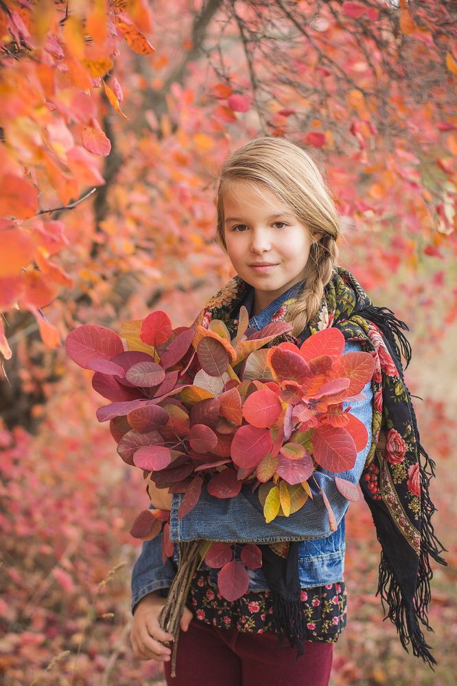 Краски осени