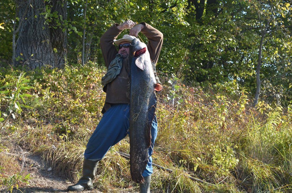 Вот такую рыбку поймал! р.Десна