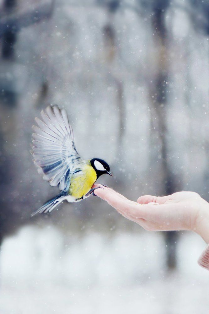 На кончиках пальцев