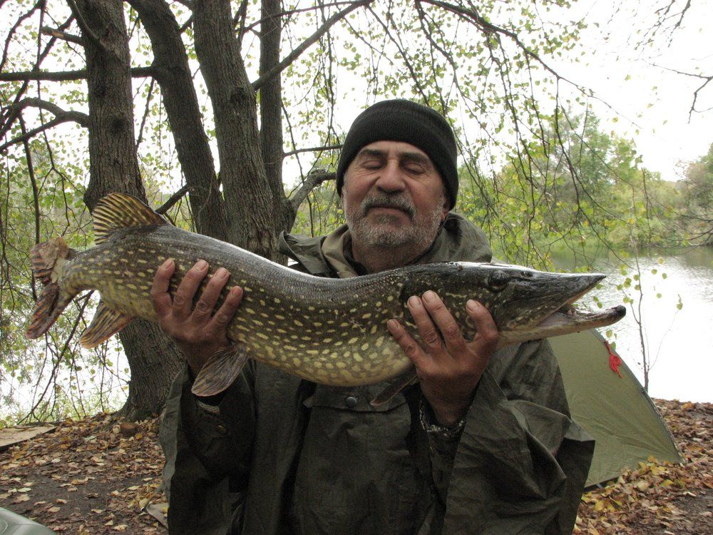 Рыбак и его любимая рыбка.