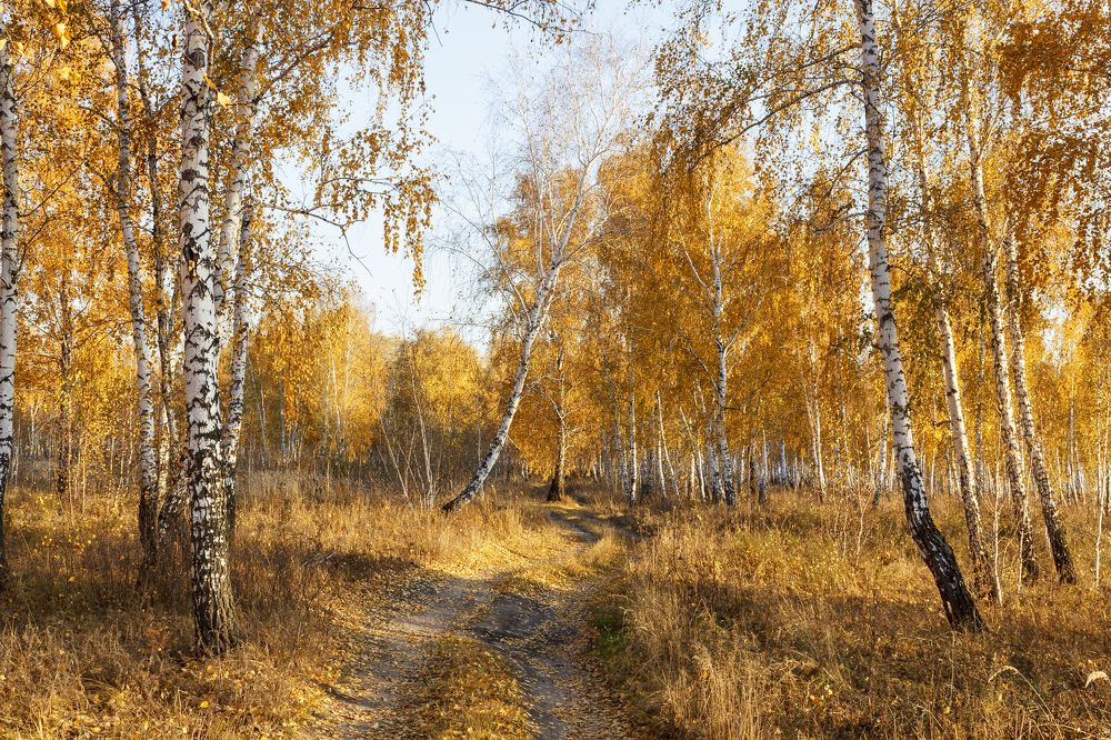 "Осенний блюз"