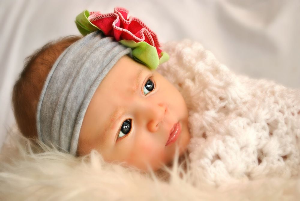 Новая жизнь