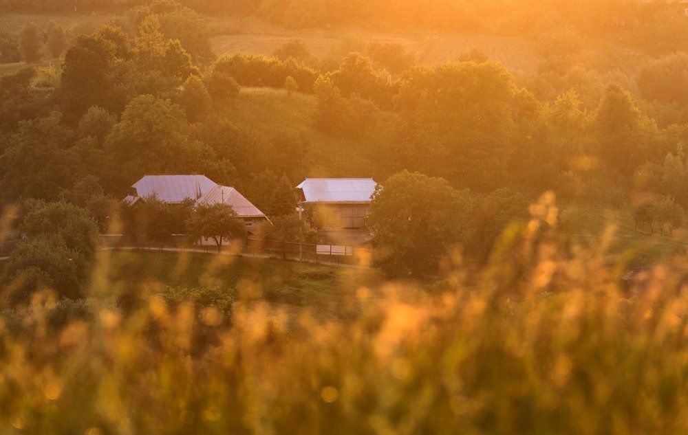Photograph by Olari Ionut