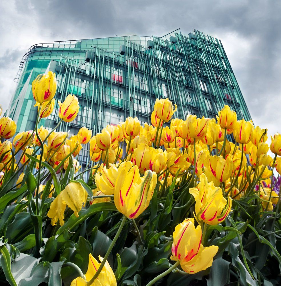 Гармония города