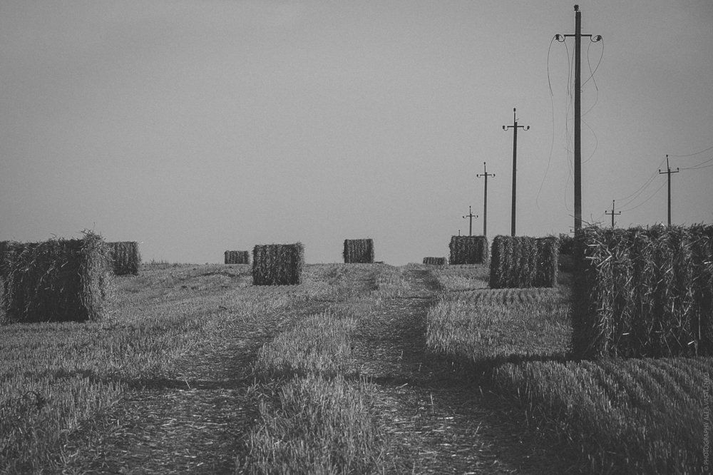 Мы берем у земли так много всего, а что мы даем ей взамен...?