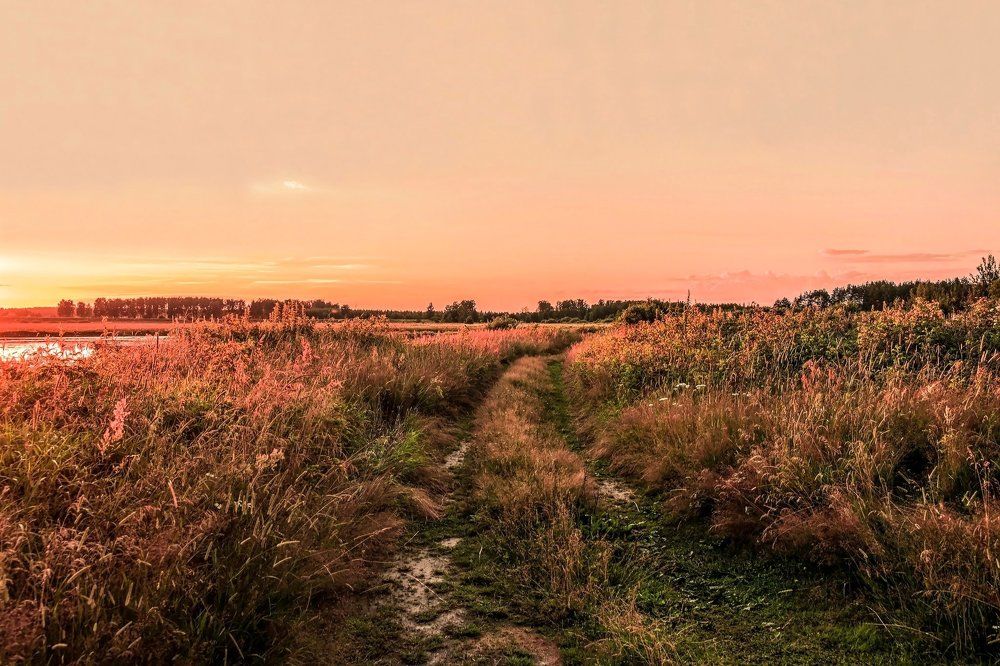 Утомленные солнцем