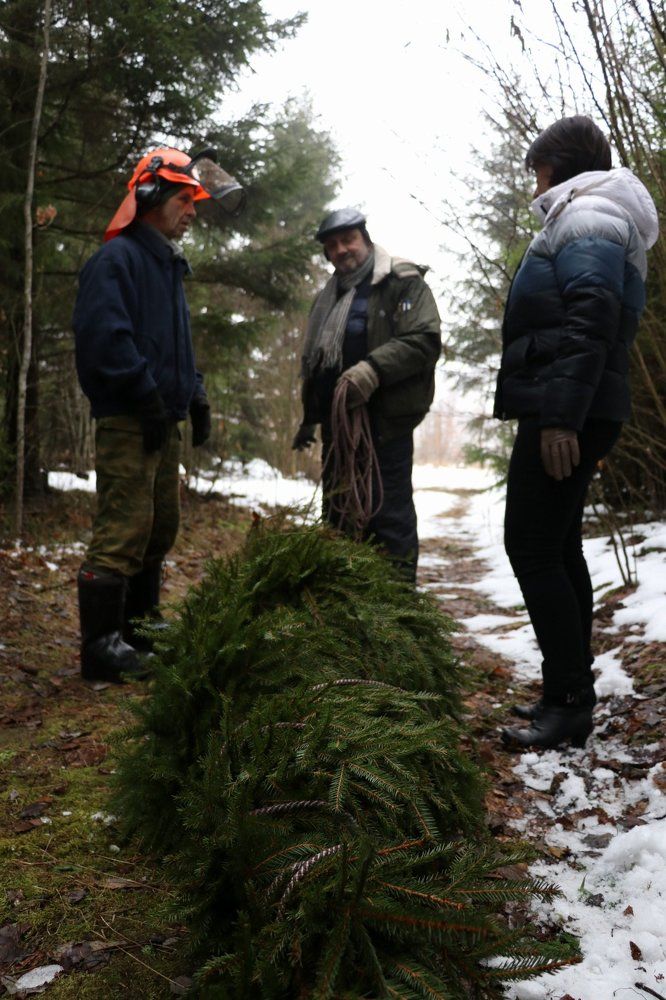 Лесное чудо