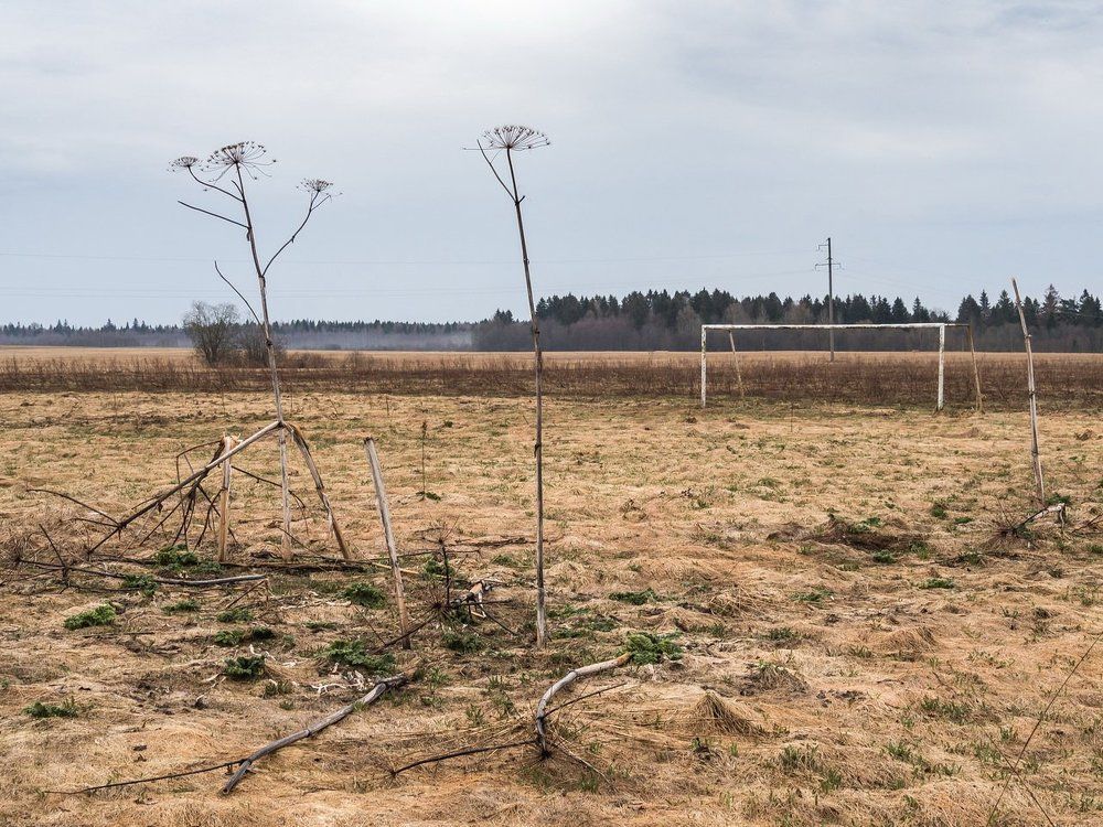 Футболисты