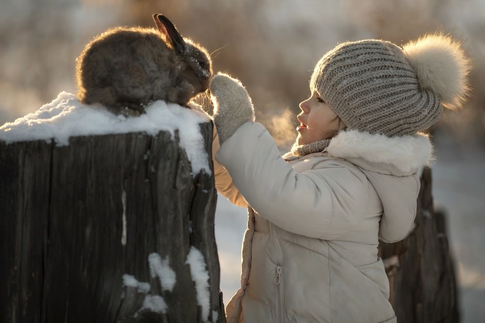 Photograph by Алла Семдянкина
