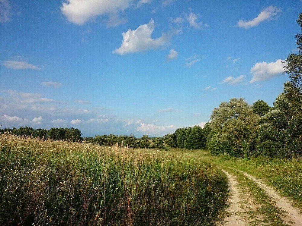 Тропинка детства