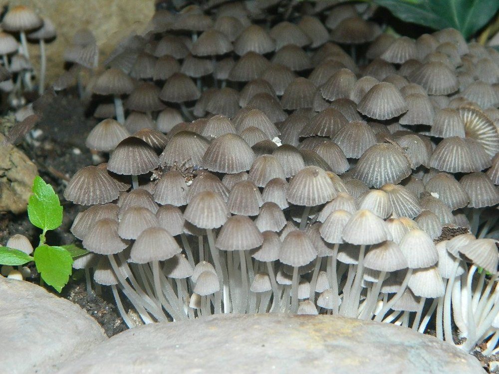 Photograph by Виктор