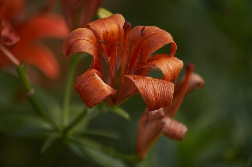Фотография автора Александр