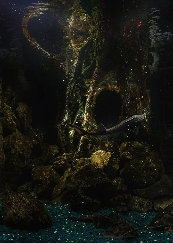 Photograph by Денис