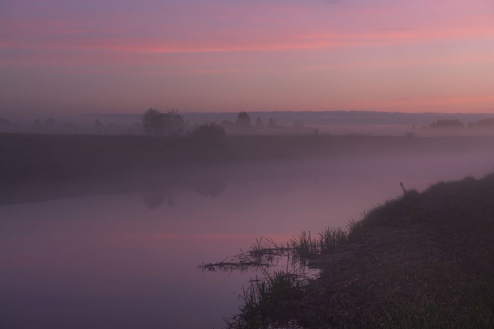 Майское утро на левом берегу Тезы