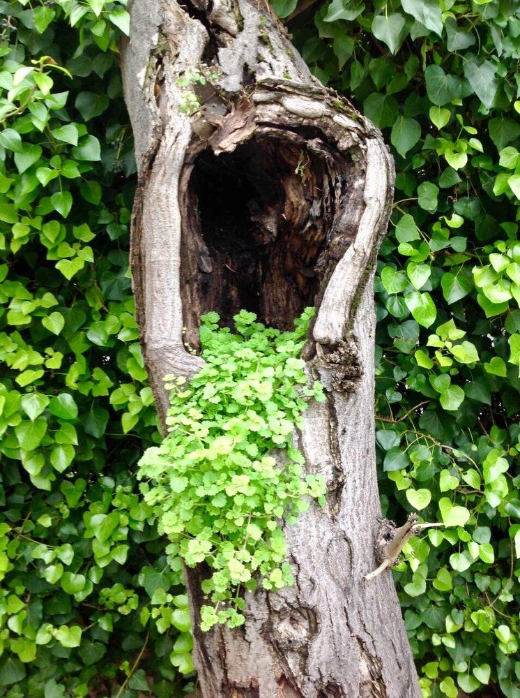 Жизнь продолжается.