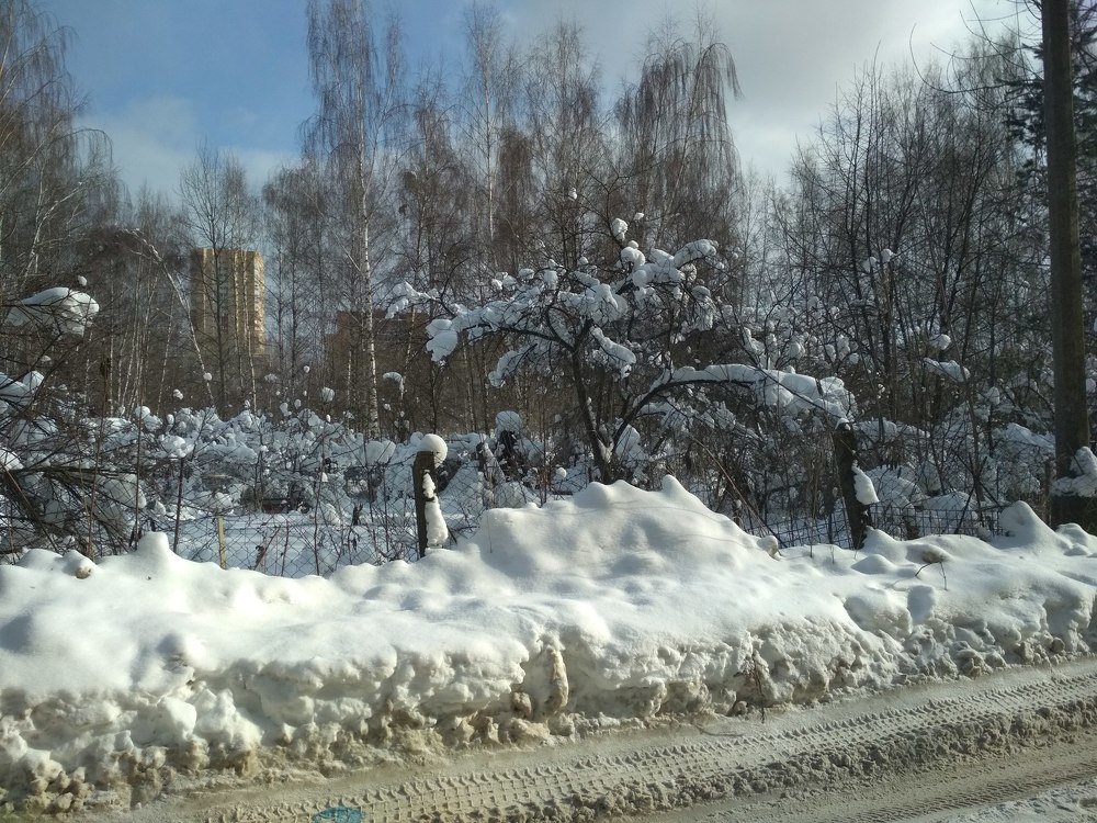 Зима в Балашихе