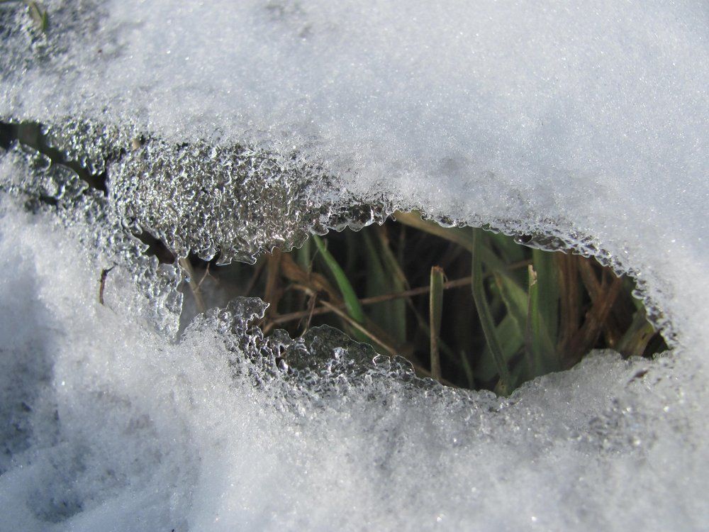 Photograph by Виктор