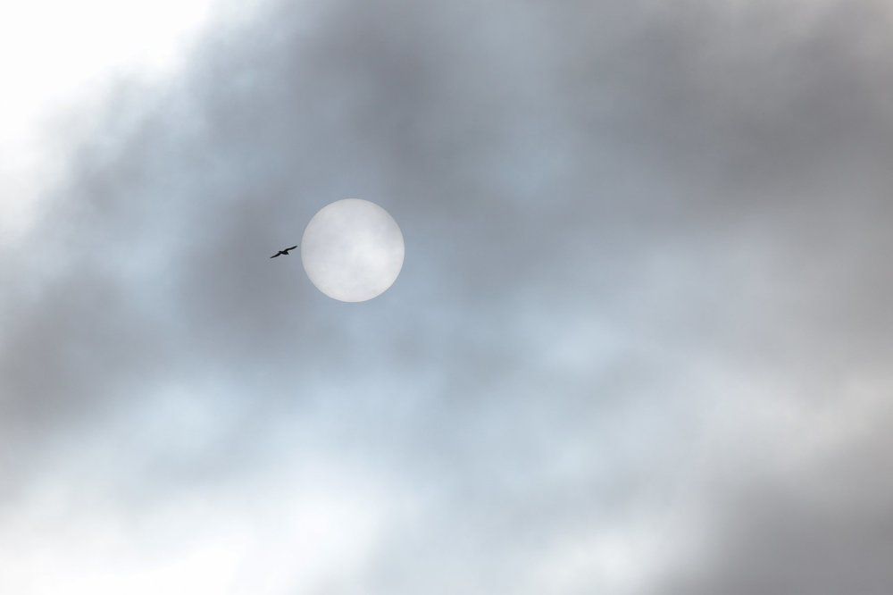 Ставьте высокие цели